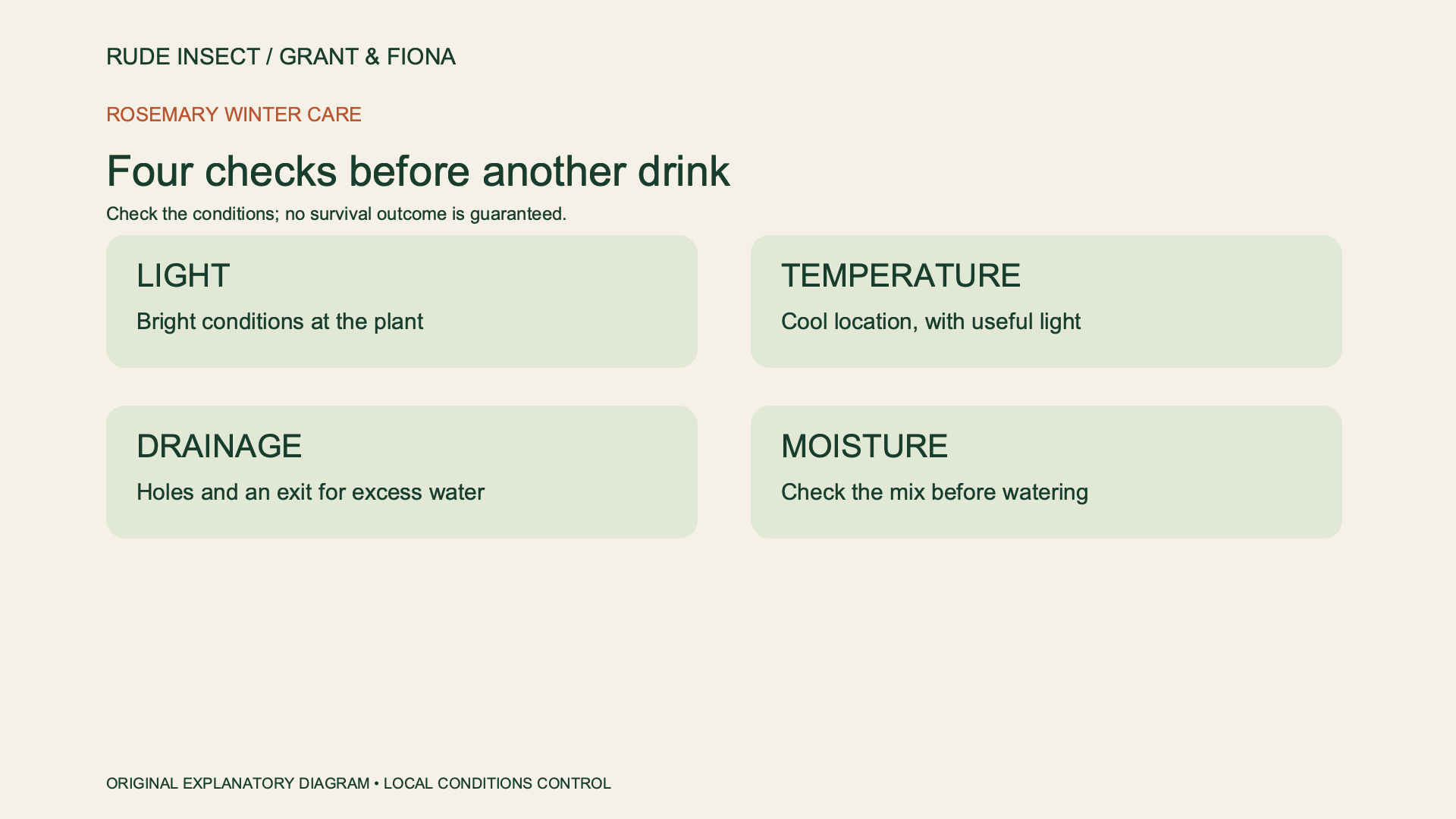 How to Keep Rosemary Alive Indoors All Winter