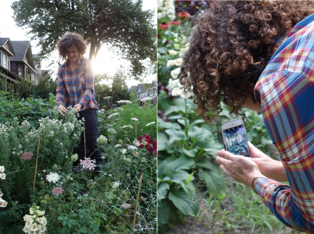 small farming, gardening, micro farming, sustainable agriculture - Flower Arranging & Design