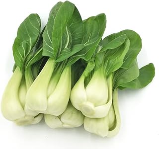 for 2025-Sow in Fall/Spring. HipGirl Baby Bok Choy Seeds for Sprouting,Cabbage Seeds for Planting,Mi
