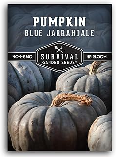 Blue Jarrahdale Pumpkin Seeds for Planting - 1 Packet with Instructions to Plant & Grow Decorative a