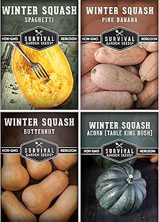 Winter Squash Seed Collection - Butternut, Acorn, Pink Banana, Spaghetti Squash - 4 Non-GMO Heirloom