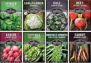 Fall Vegetable Seed Collection - 8 Packs of Non-GMO Heirloom Open-Pollinated Vegetables - Plant in L