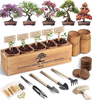 Bonsai Tree Kit for Beginners – 5X Unique Japanese Bonzai Trees | Complete Indoor Starter Kit for Gr