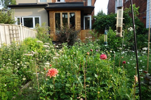 small farming, gardening, micro farming, sustainable agriculture - Flower Arranging & Design