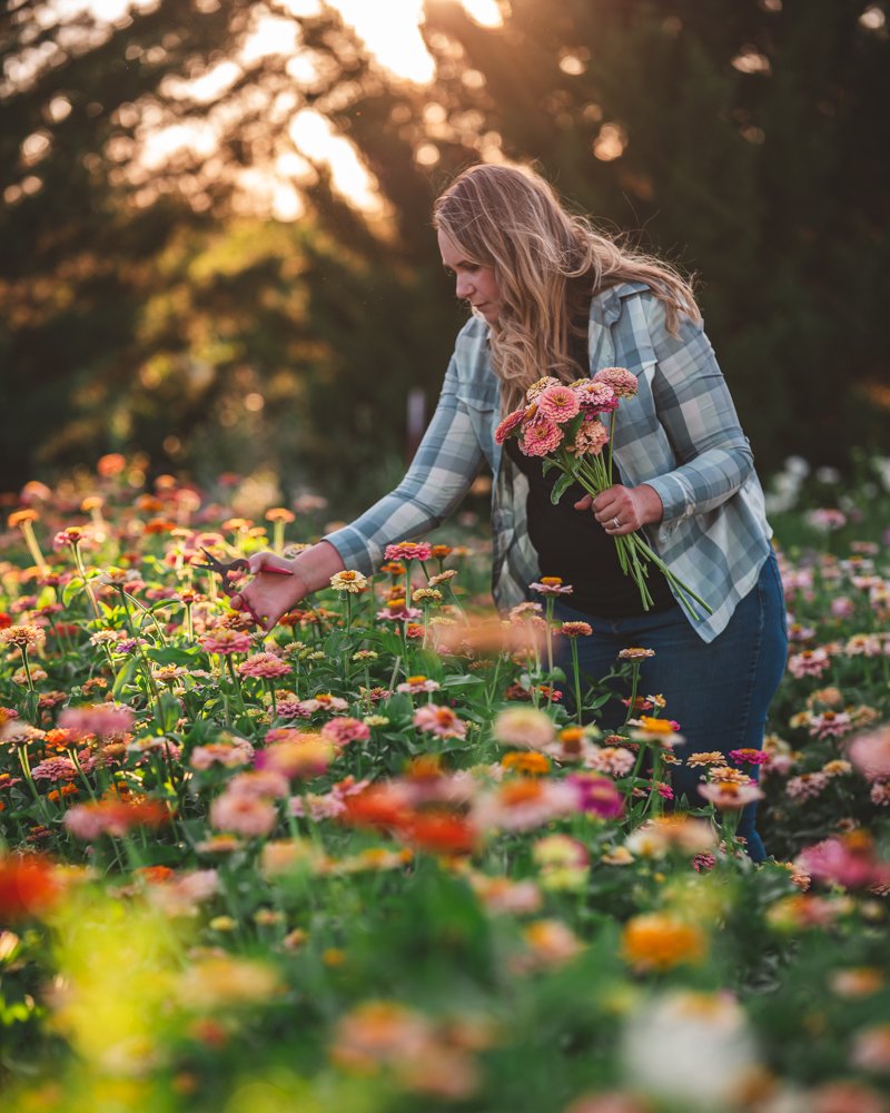 small farming, gardening, micro farming, sustainable agriculture - Seedling Care & Transplanting
