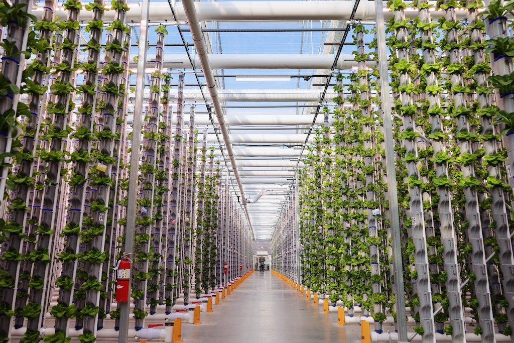 vertical farming, space optimization, hydroponics, aquaponics, indoor farming - Vertical Farming Ideas