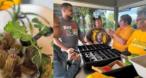 Students in botanical garden.