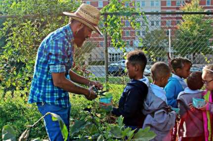 small farming, gardening, micro farming, sustainable agriculture - Seed Saving & Storage