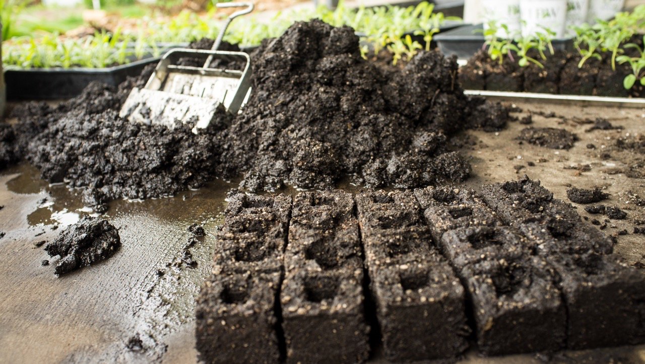 small farming, gardening, micro farming, sustainable agriculture - Seed Saving & Storage