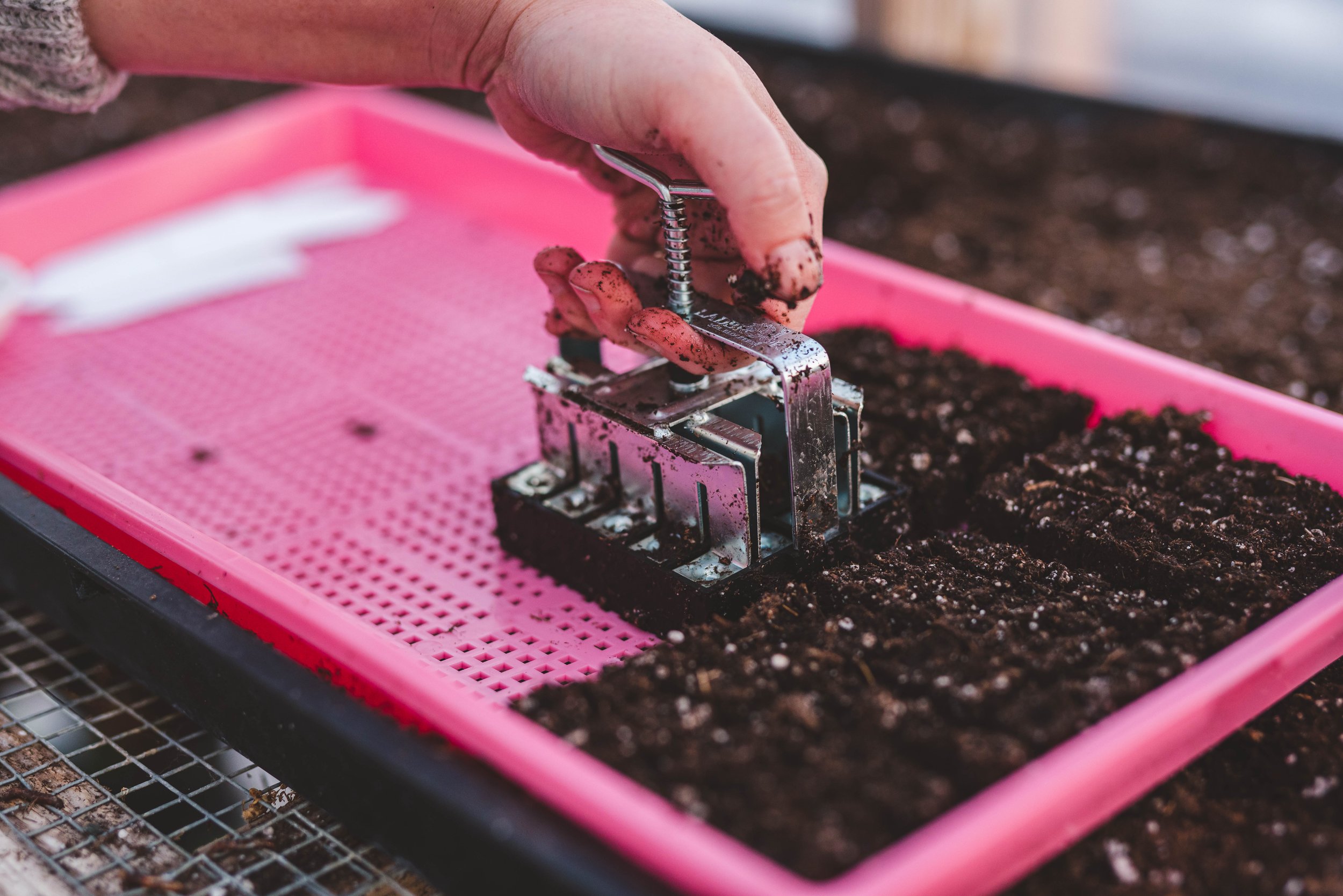 small farming, gardening, micro farming, sustainable agriculture - Seed Saving & Storage