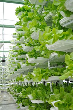 vertical farming, space optimization, hydroponics, aquaponics, indoor farming - Vertical Farming Ideas