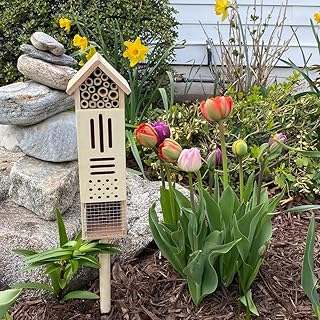 Wooden Insect House, Insect Hotel for Bugs, Bees, Butterflys, Ladybirds, Natural Beneficial Insect H