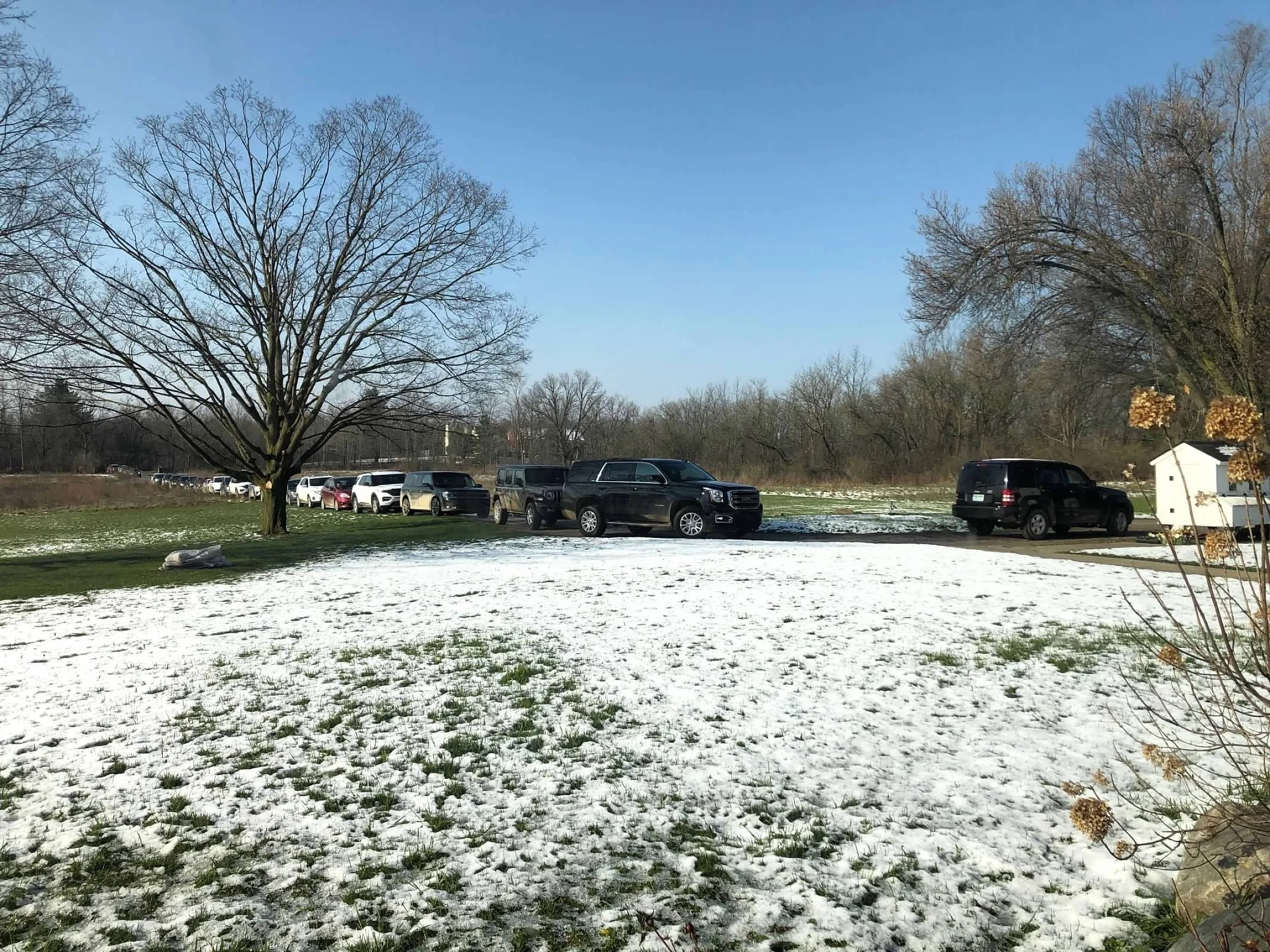 flower farming, business insights, market strategies, profitability, flower sales - Flower Farm Business Insights