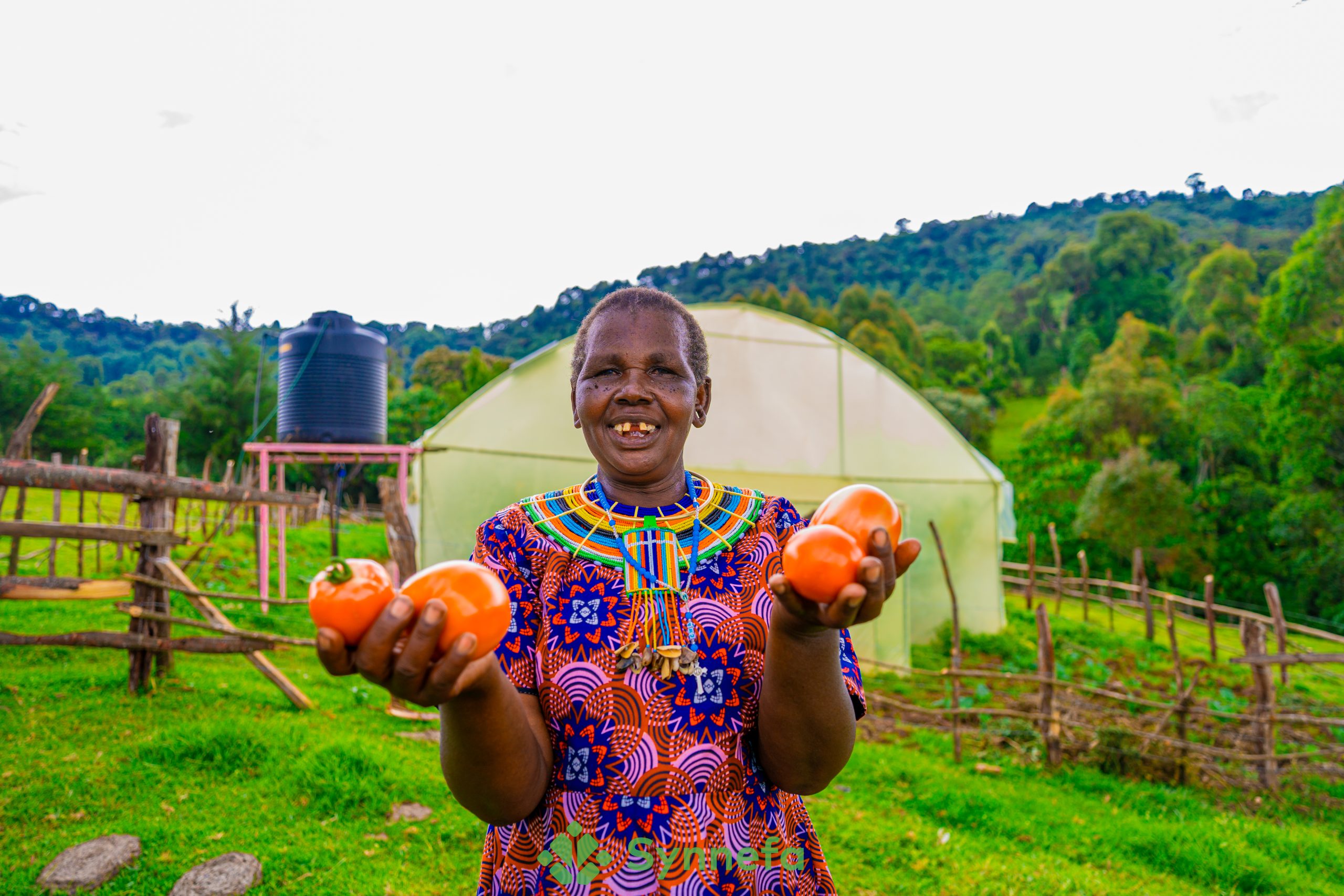 20 Reasons Why Greenhouse is an Effective Way of Farming 