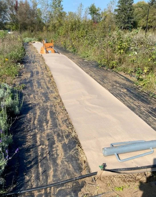 weed control, organic herbicides, mulching, weeding techniques, sustainable farming - Eco-Friendly Weed Control