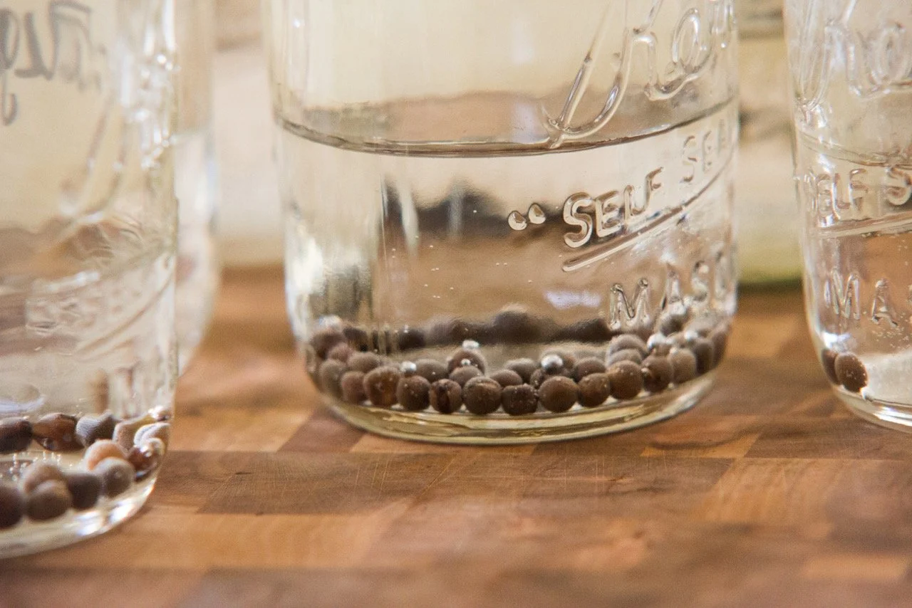 flower farming tips, cultivation techniques, soil preparation, pest management, crop selection - Flower Farming Tips