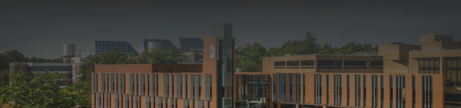 small farming, gardening, micro farming, sustainable agriculture - Urban Farming & Container Gardens