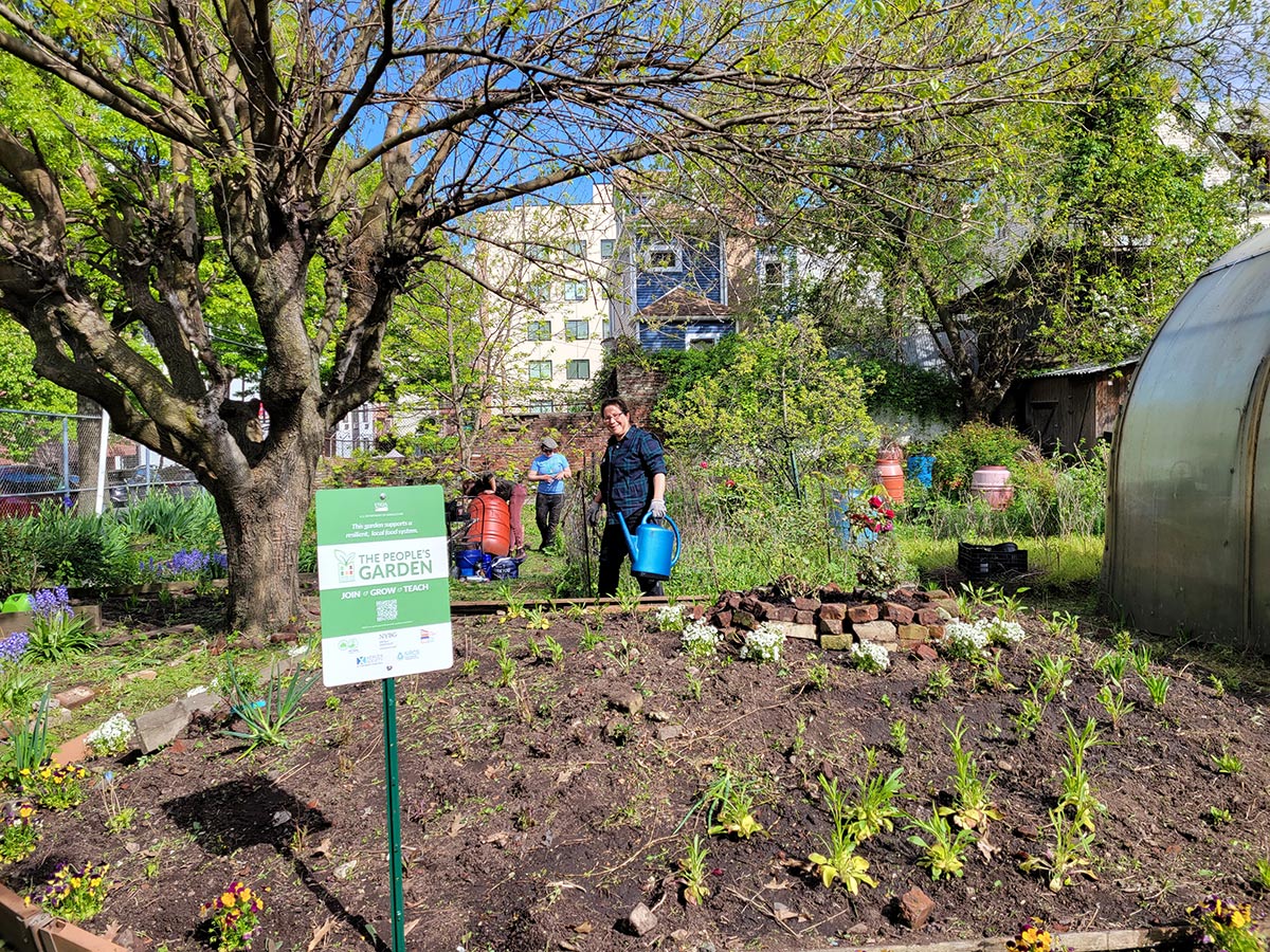 Volunteer carrying watering can at the dedication event