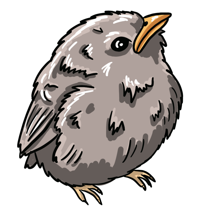 Wren chick waits for food