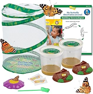 Insect Lore Butterfly Garden Kit – 10 Live Caterpillars, Habitat, STEM Journal, 2 Chrys-a-lid Holdin