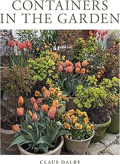 Containers in the Garden