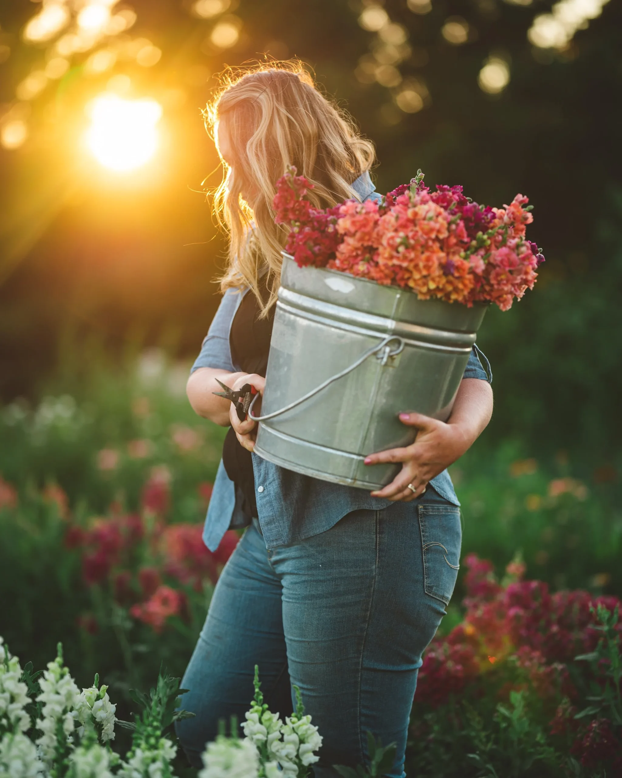 small farming, gardening, micro farming, sustainable agriculture - Flowers and Butterflies