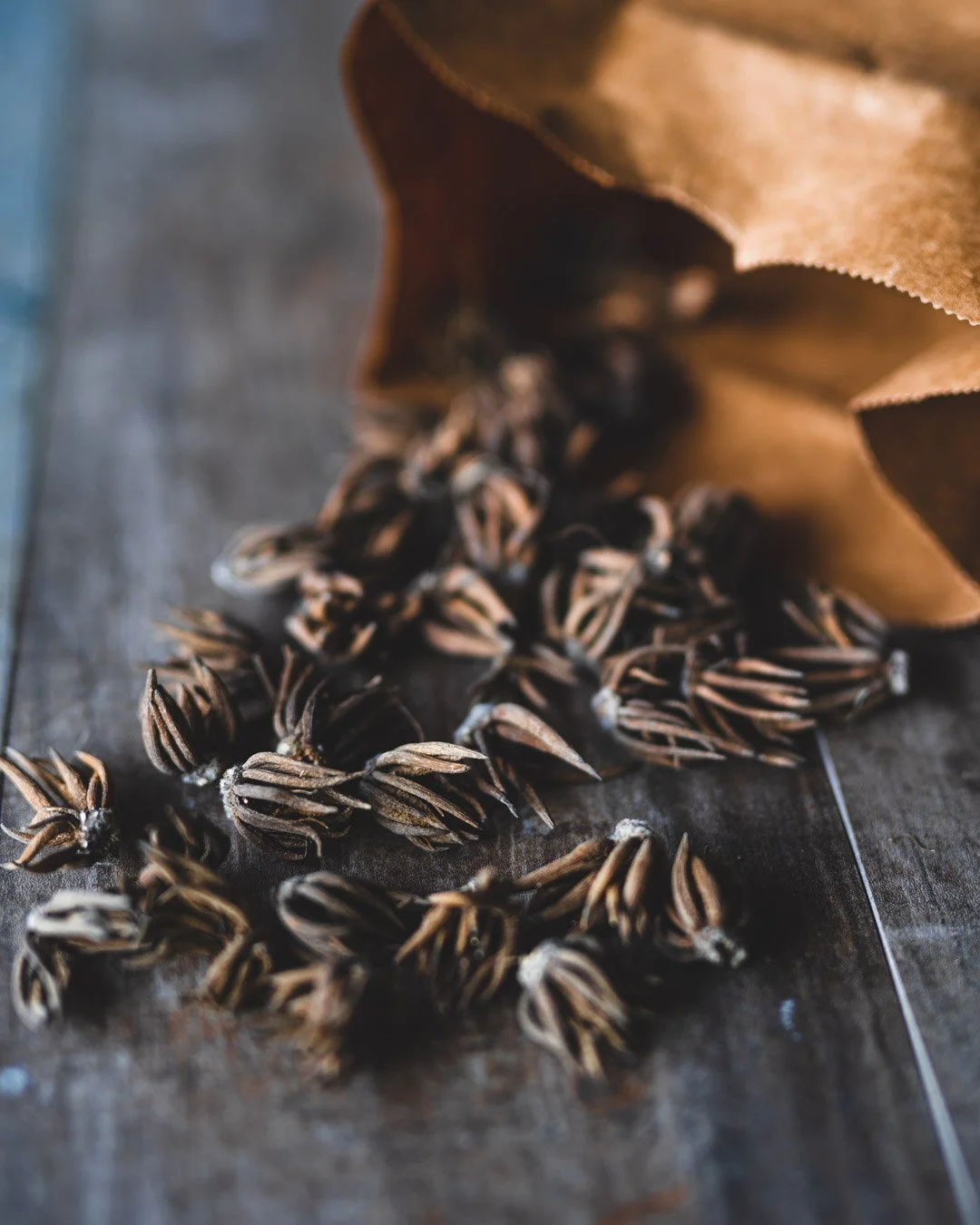 flower farming tips, cultivation techniques, soil preparation, pest management, crop selection - Flower Farming Tips