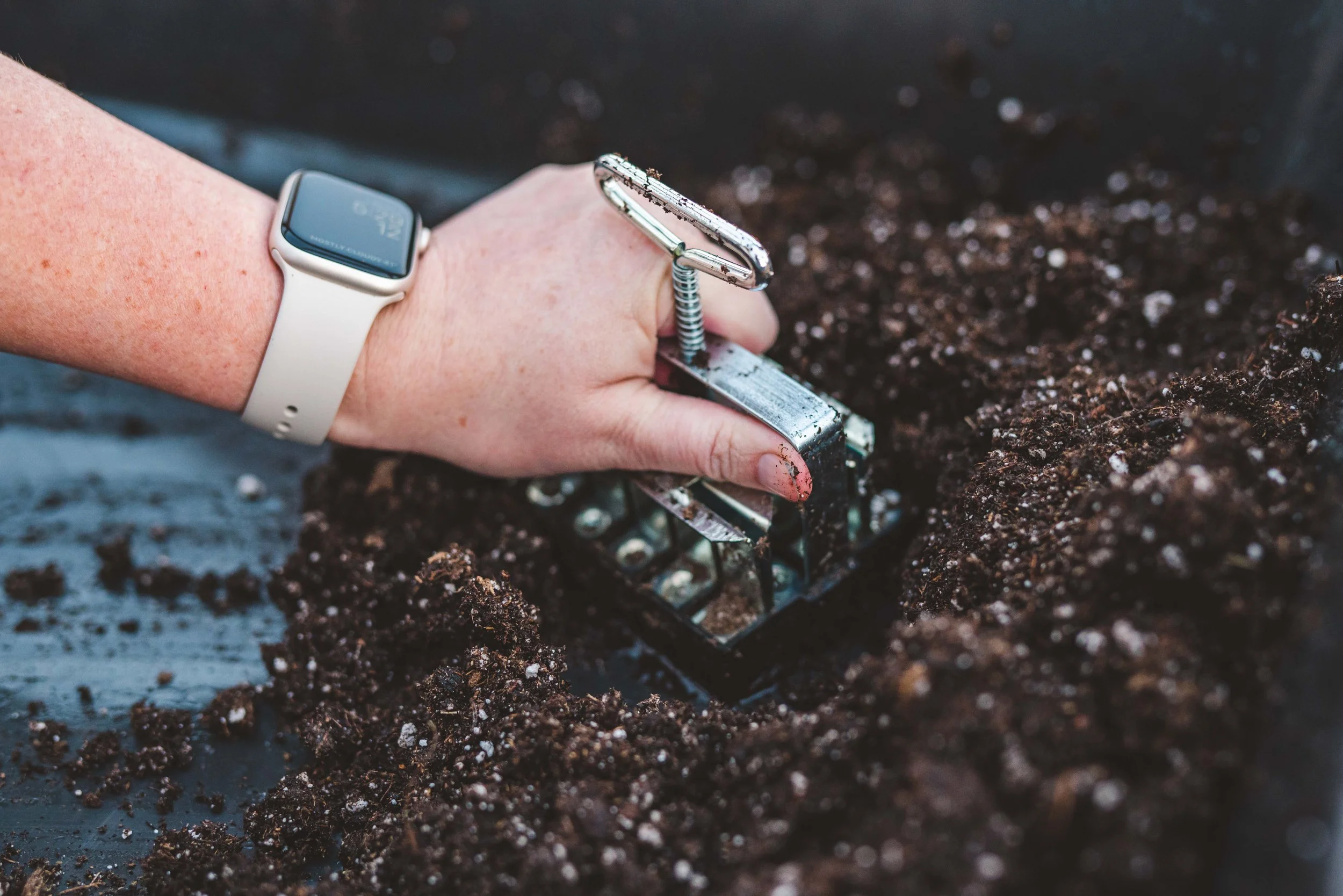 small farming, gardening, micro farming, sustainable agriculture - Seed Saving & Storage