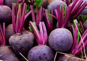 beets_by_darasp_kran_ss_crop_0_quarter_width.jpg
