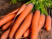 carrots-table_popidar-ss_quarter_width.jpg
