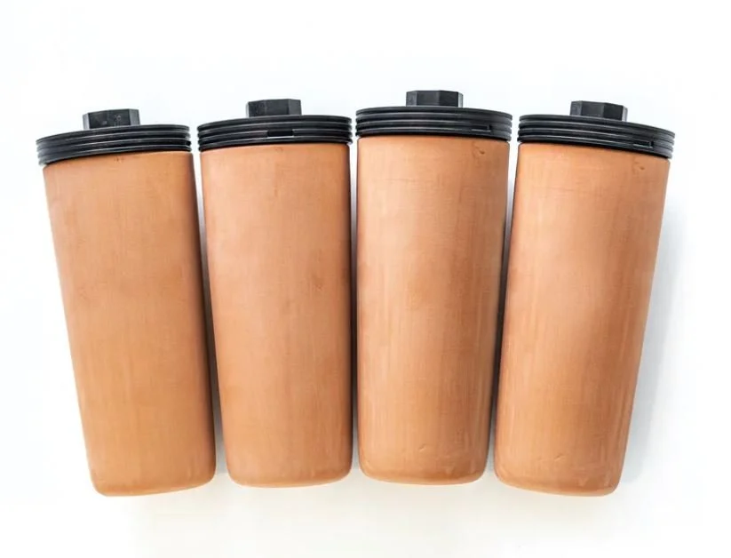 companion planting, plant pairings, pest control, garden planning, beneficial relationships - Companion Planting Strategies