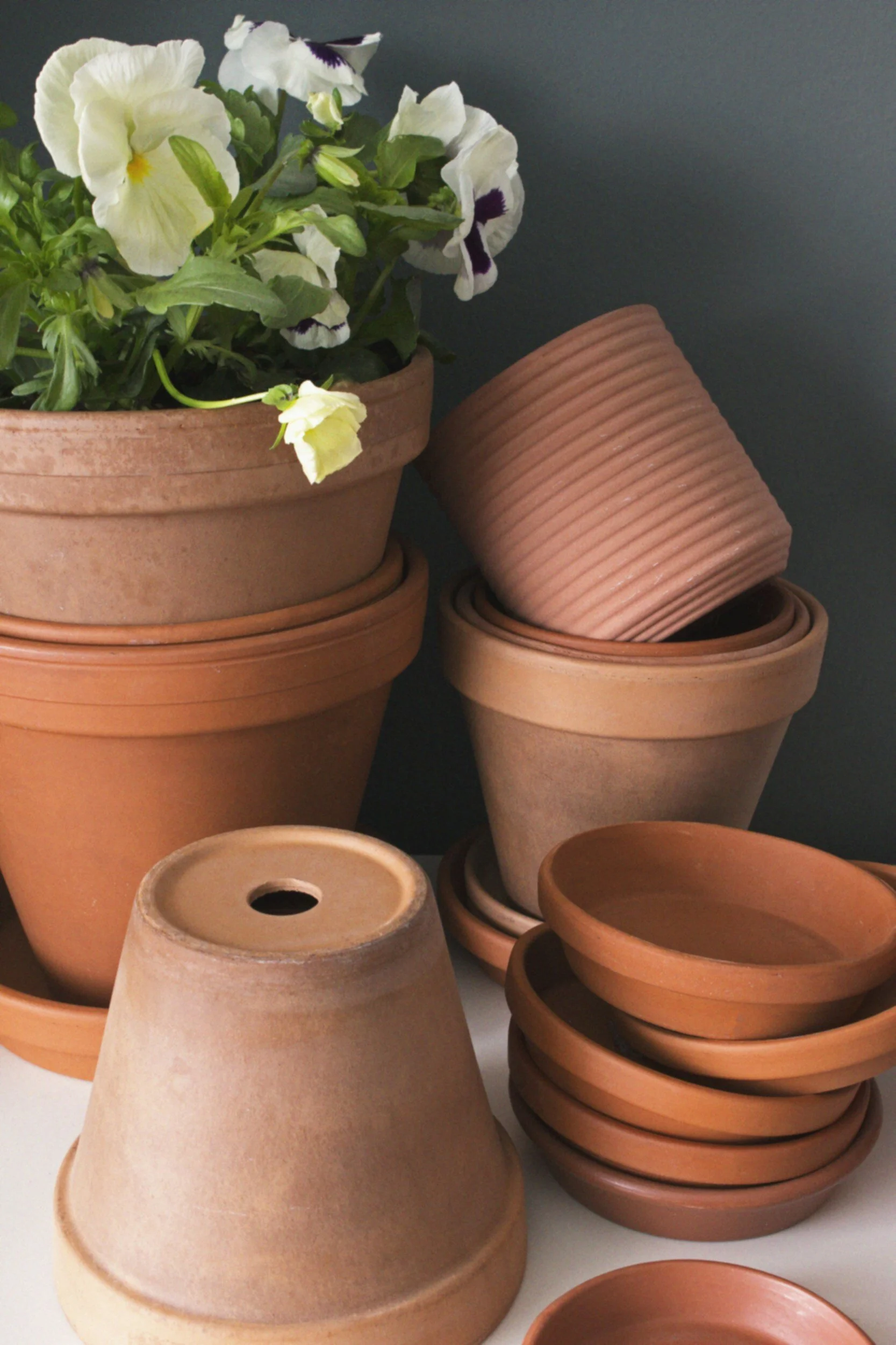 Olla Pots and Companion Planting: Creating a Symbiotic Garden
