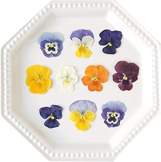 Uzunohana Dried Edible Flowers Viola Mix (50 Petals) | For Cake Decorating | For Garnish | For Culin