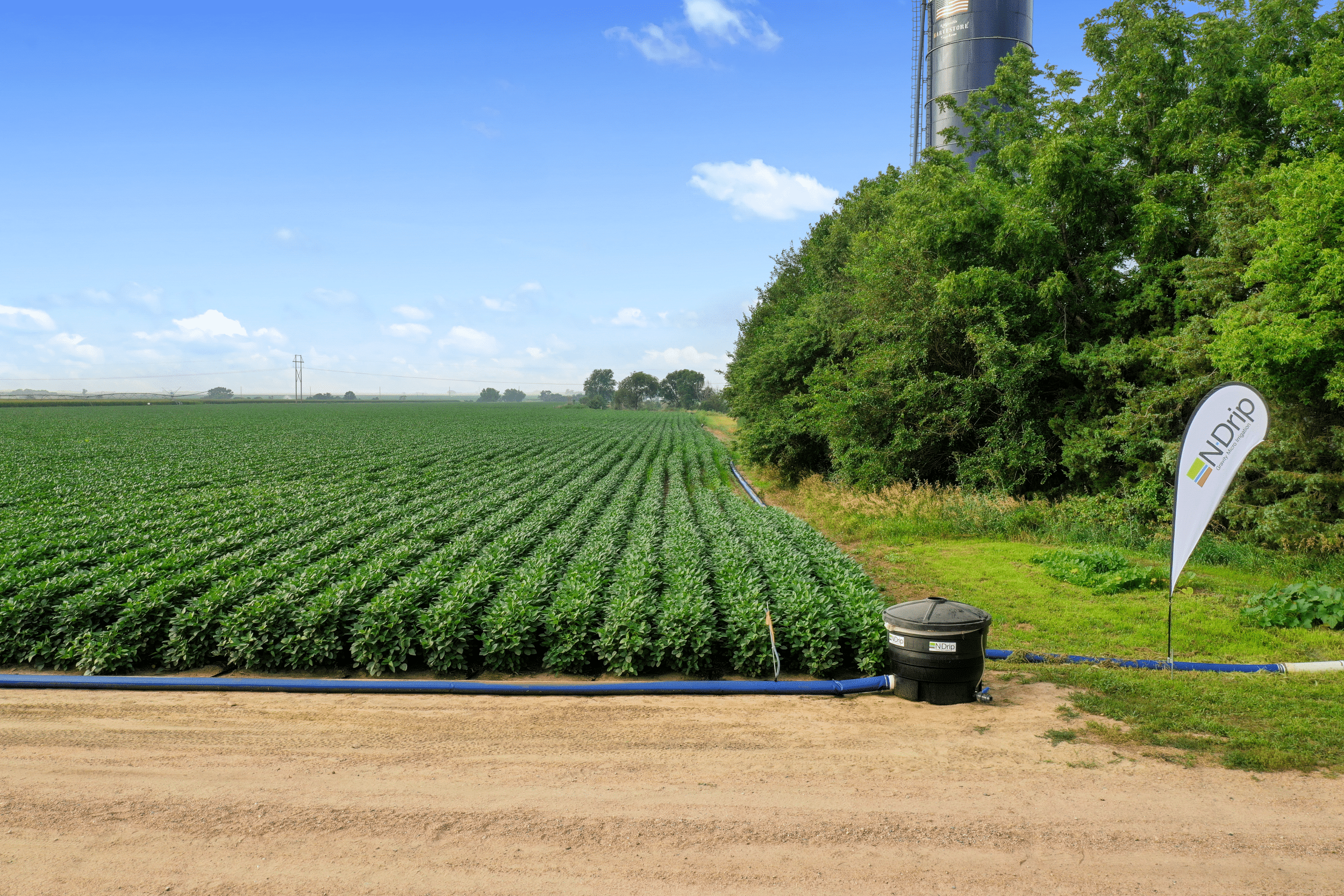 microirrigation, drip systems, precision watering, water efficiency - Microirrigation