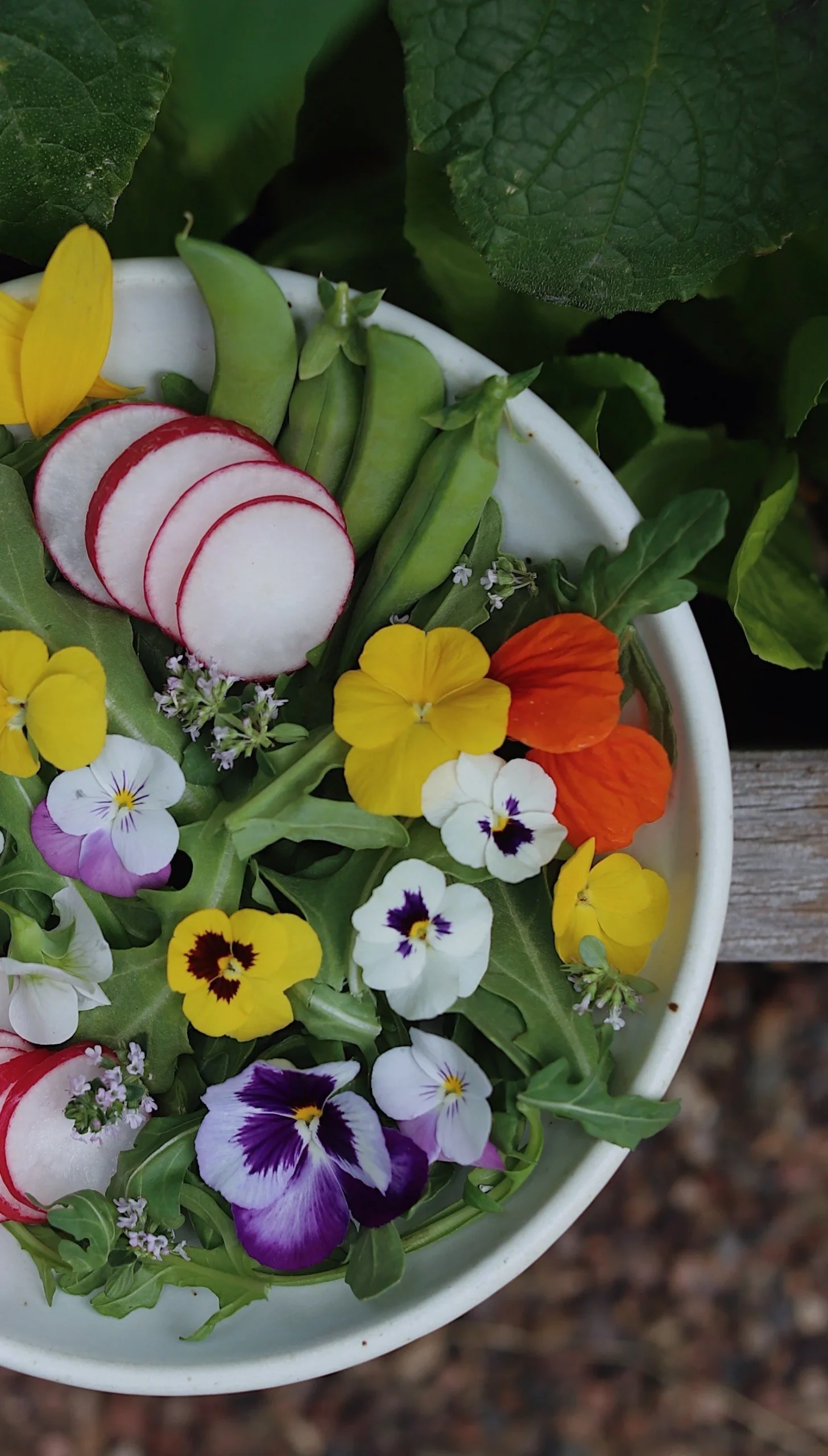 growing edible flowers, culinary flowers, cultivation tips, harvesting, recipes - How to Grow Edible Flowers