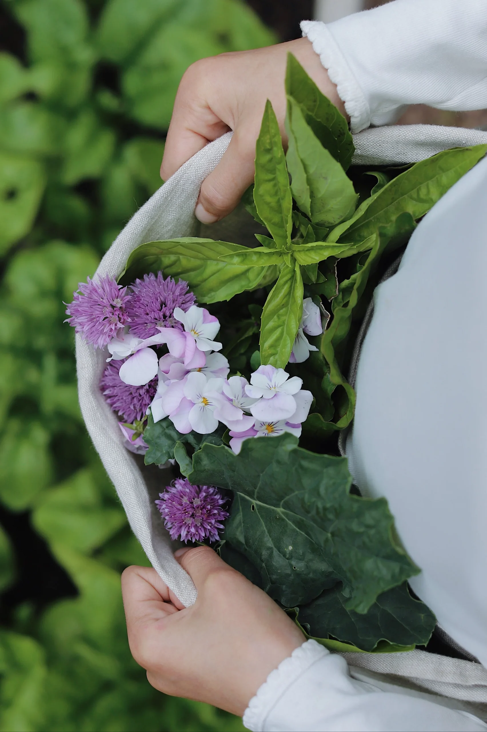 growing edible flowers, culinary flowers, cultivation tips, harvesting, recipes - How to Grow Edible Flowers