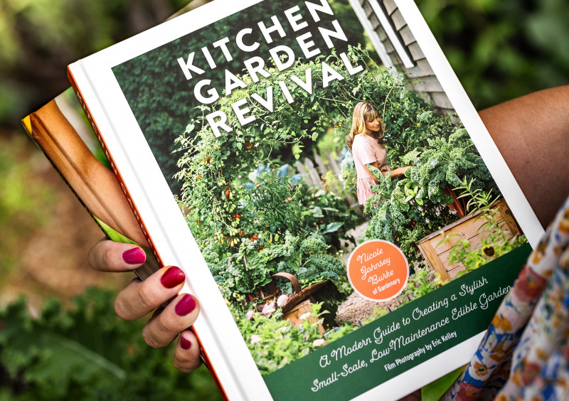 growing edible flowers, culinary flowers, cultivation tips, harvesting, recipes - How to Grow Edible Flowers