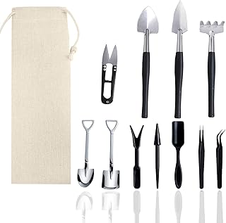 12 Pcs Succulent Tools Set Mini Transplanting Garden Tools Kit for Indoor Gardening Flower Pot Cactu
