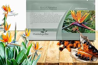 Outsidepride Bird of Paradise Seeds - 15 Pcs. Perennial, Versatile & Slow-Growing, Flower Seeds for 