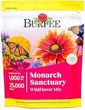Burpee Wildflower Mix Monarch Sanctuary Seeds | 25,000 Non-GMO Seeds, 3 Types of Butterfly Weed Plus
