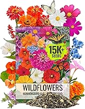 Seed Needs Flower Seeds Hummingbird and Butterfly Seed Mix 1 Ounce No Filler | 23 Varieties Garden S