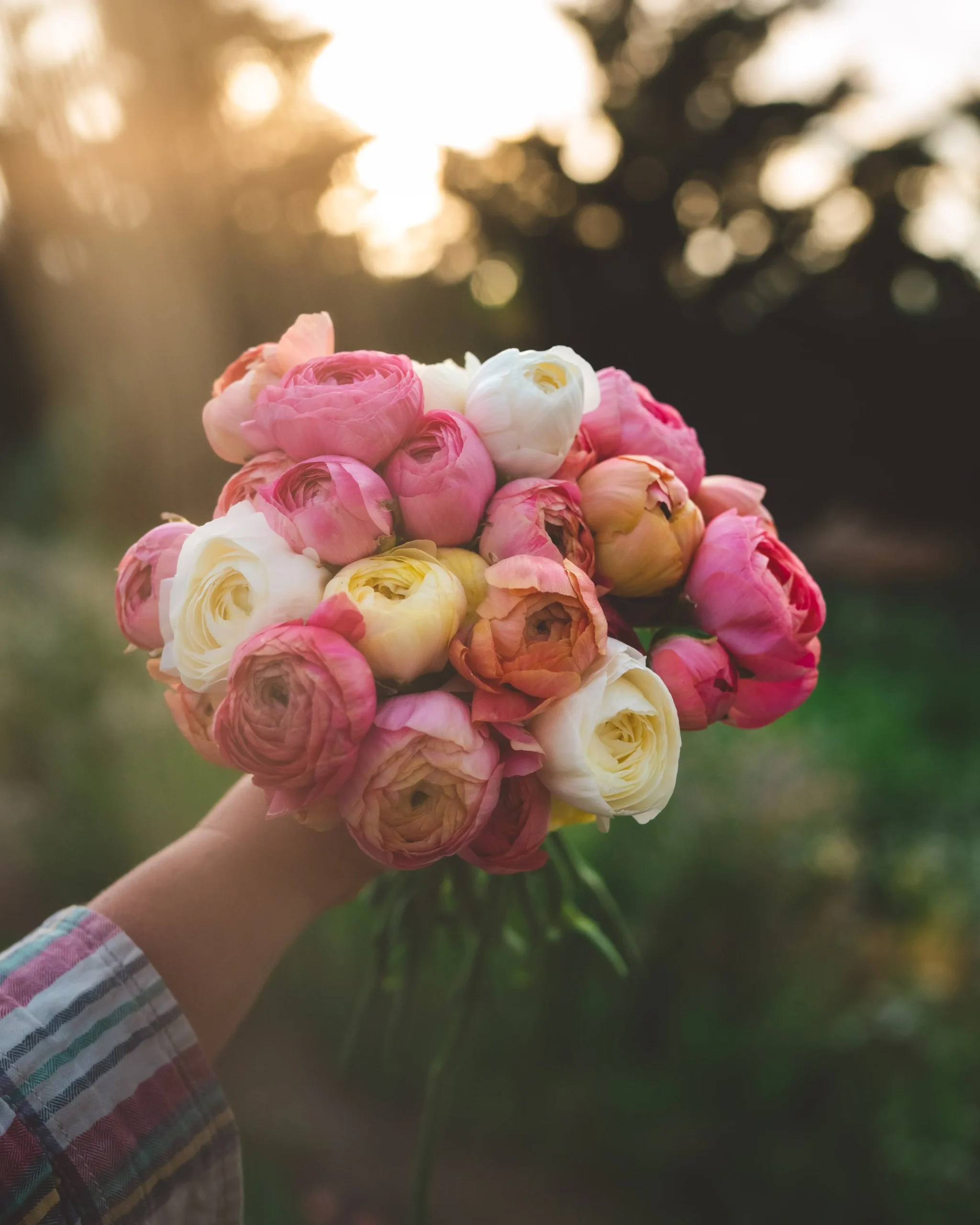 flower farming tips, cultivation techniques, soil preparation, pest management, crop selection - Flower Farming Tips