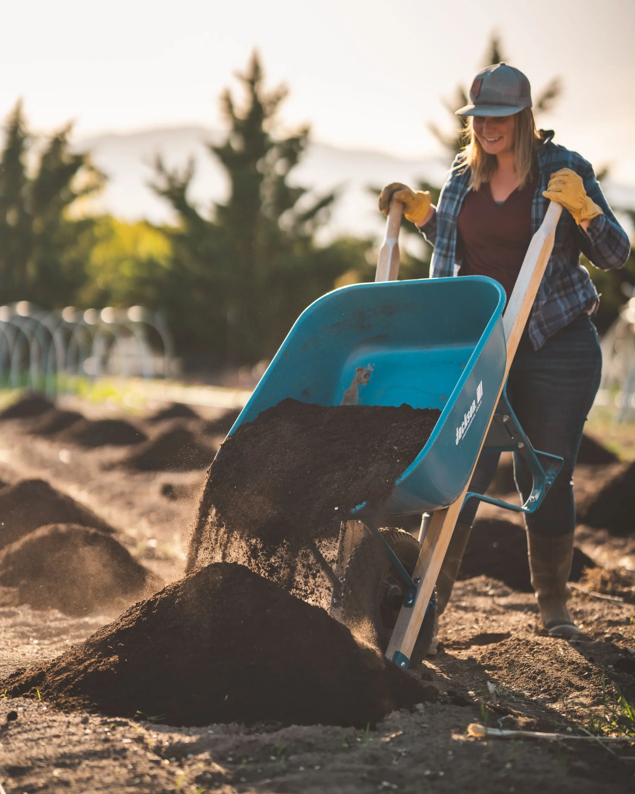 flower farming tips, cultivation techniques, soil preparation, pest management, crop selection - Flower Farming Tips