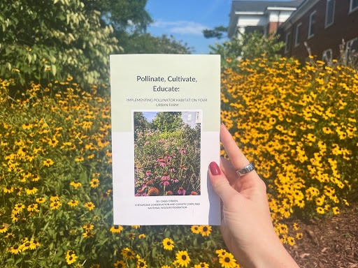 A person holds up a pamphlet in front of a flower garden. The pamphlet reads, 