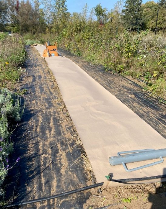 weed control, organic herbicides, mulching, weeding techniques, sustainable farming - Eco-Friendly Weed Control