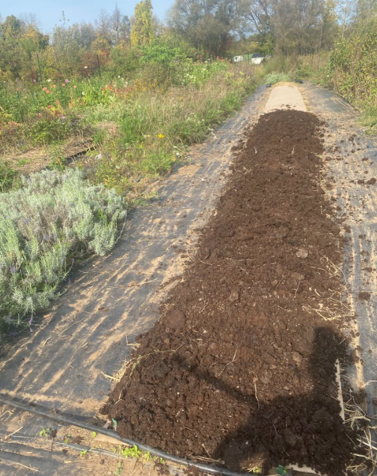weed control, organic herbicides, mulching, weeding techniques, sustainable farming - Eco-Friendly Weed Control