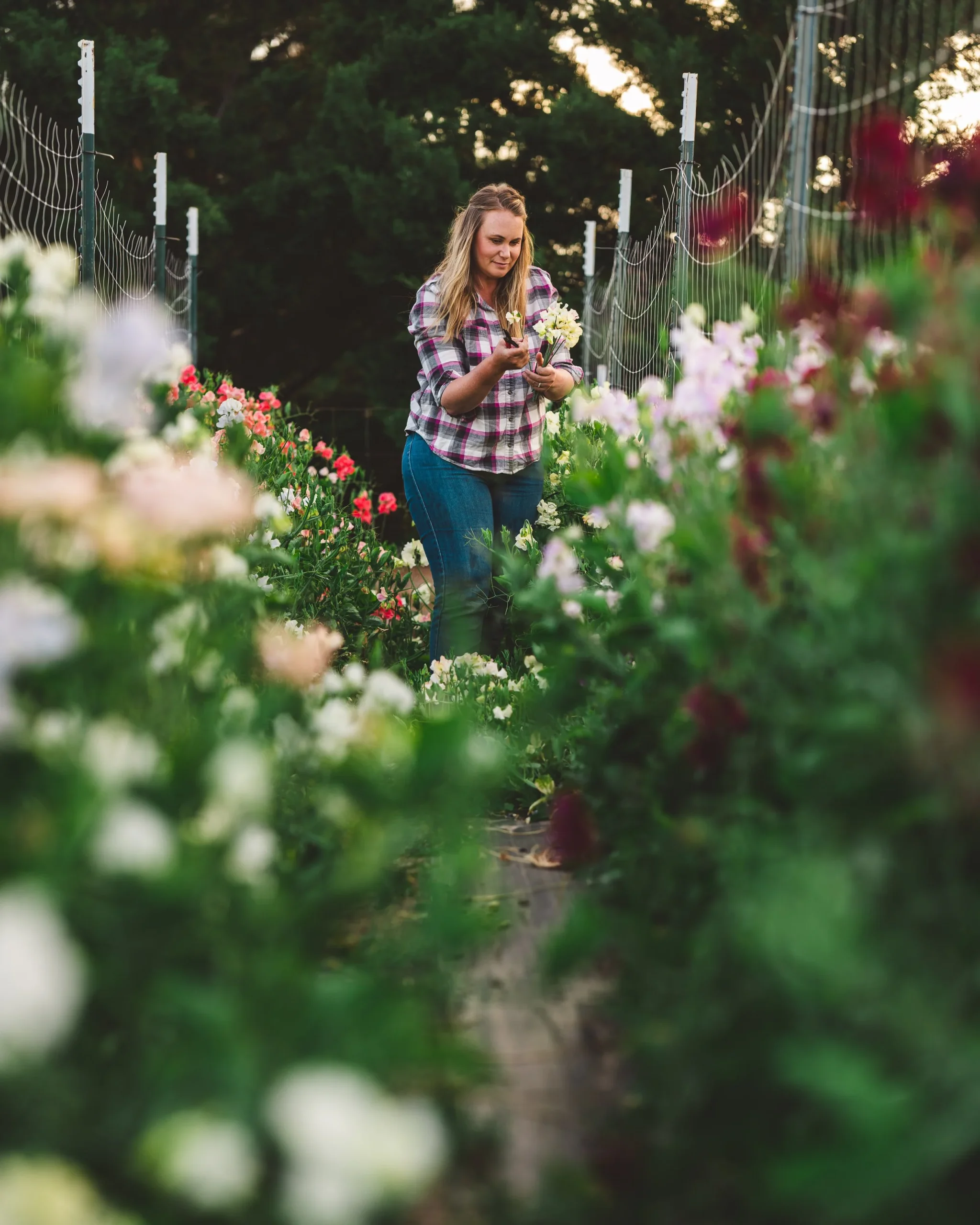 White Sweet Peas-00179.jpg