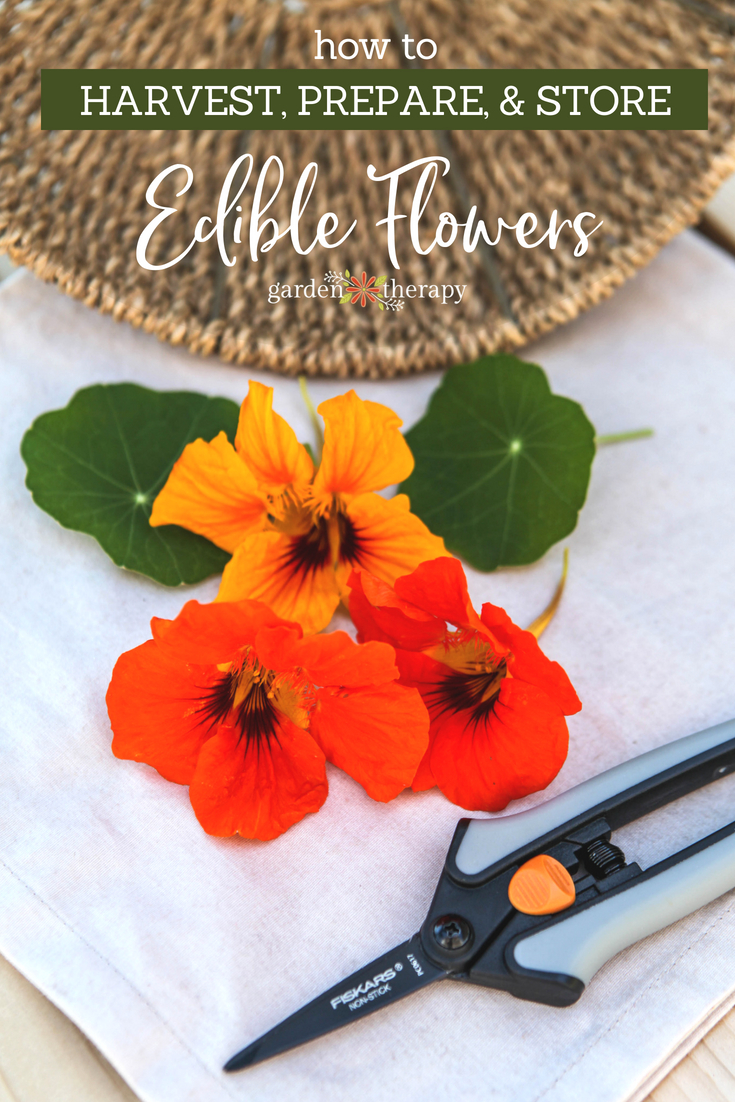 growing edible flowers, culinary flowers, cultivation tips, harvesting, recipes - How to Grow Edible Flowers