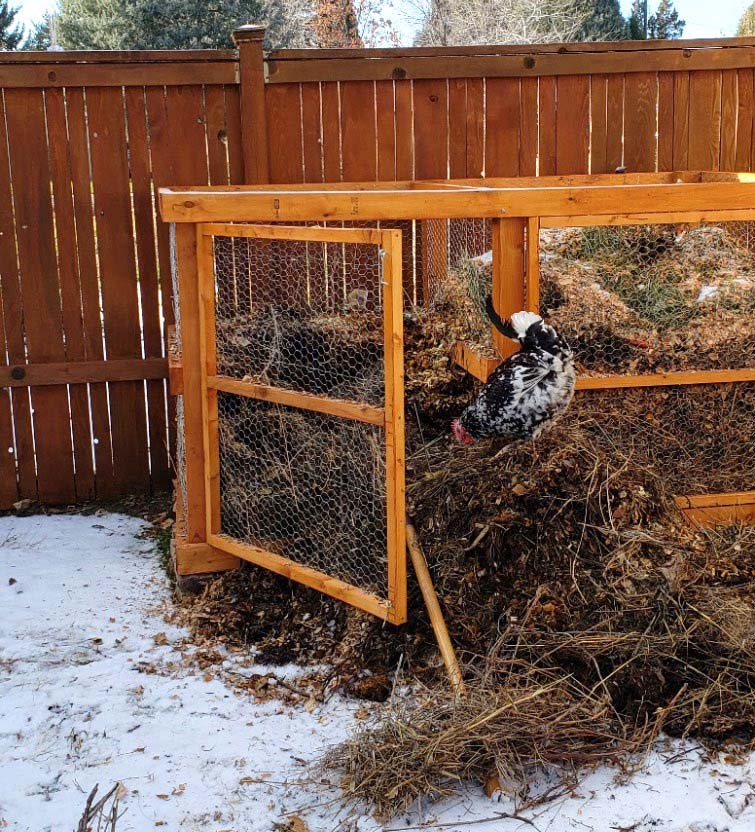 Compost pile