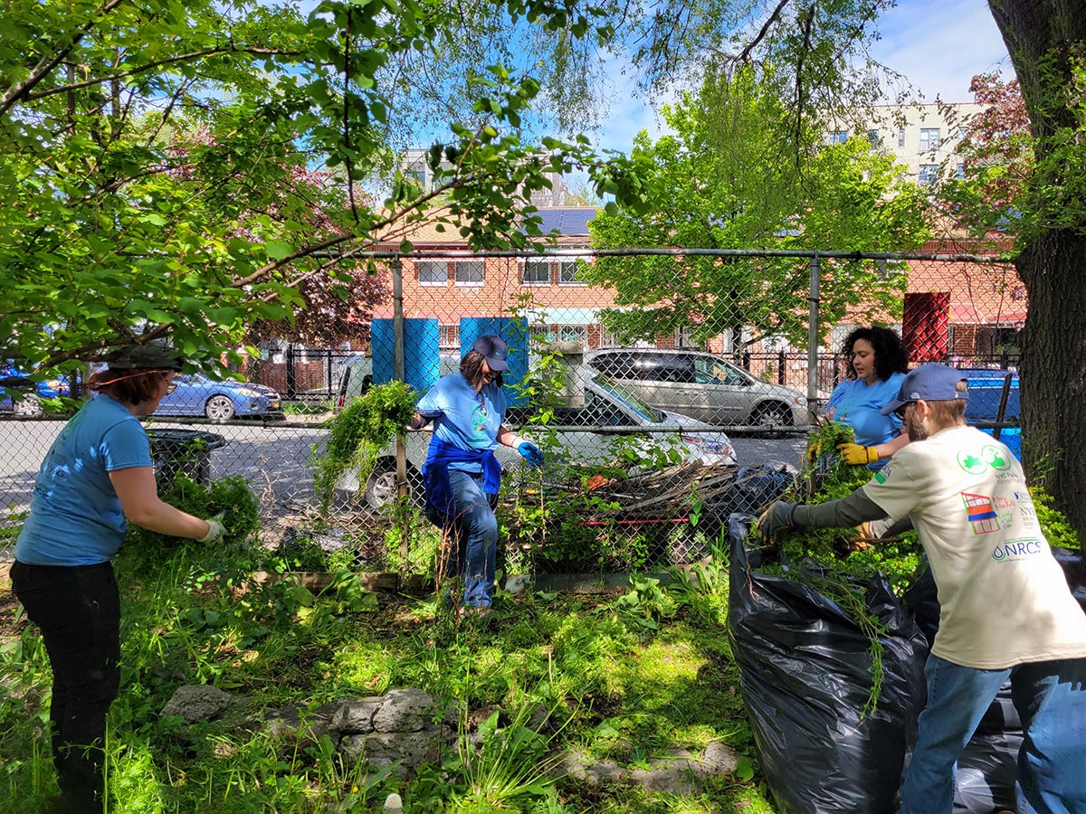 Volunteers weeding the garden of happiness